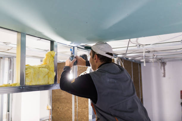 Best Geographic-Specific Insulation Services in Landover Hills, MD