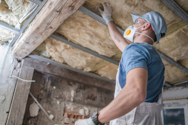 Best Eco-Friendly Insulation in Landover Hills, MD