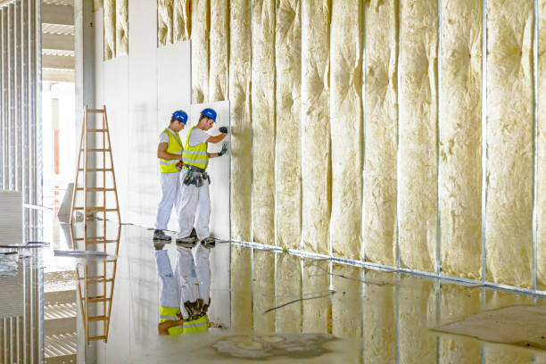 Best Spray Foam Insulation in Landover Hills, MD